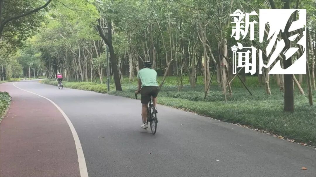 惊险一幕曝光！沪一骑车人"高速"遭遇"回头杀"，瞬间飞了出去…