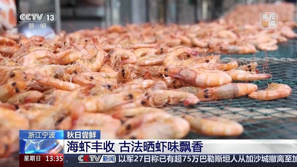 古法晒虾、板栗烧鸡 各地宝藏秋日鲜味已上桌