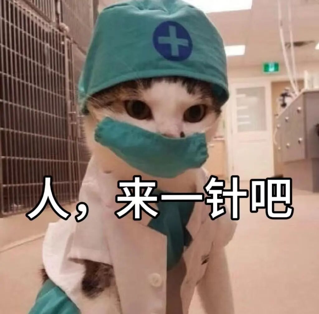 什么?狂犬病的头号元凶不是狗?最要警惕的动物竟然是它→ 什么?狂犬病的头号元凶不是狗?最要警惕的动物竟然是它→