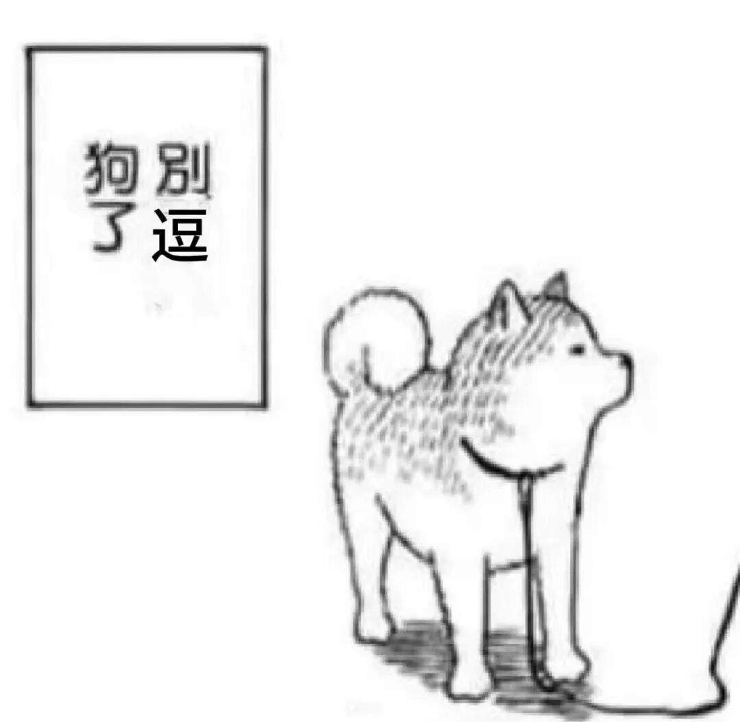 什么?狂犬病的头号元凶不是狗?最要警惕的动物竟然是它→ 什么?狂犬病的头号元凶不是狗?最要警惕的动物竟然是它→