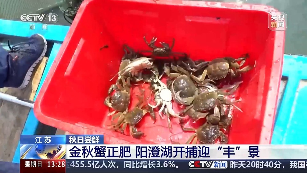 古法晒虾、板栗烧鸡 各地宝藏秋日鲜味已上桌