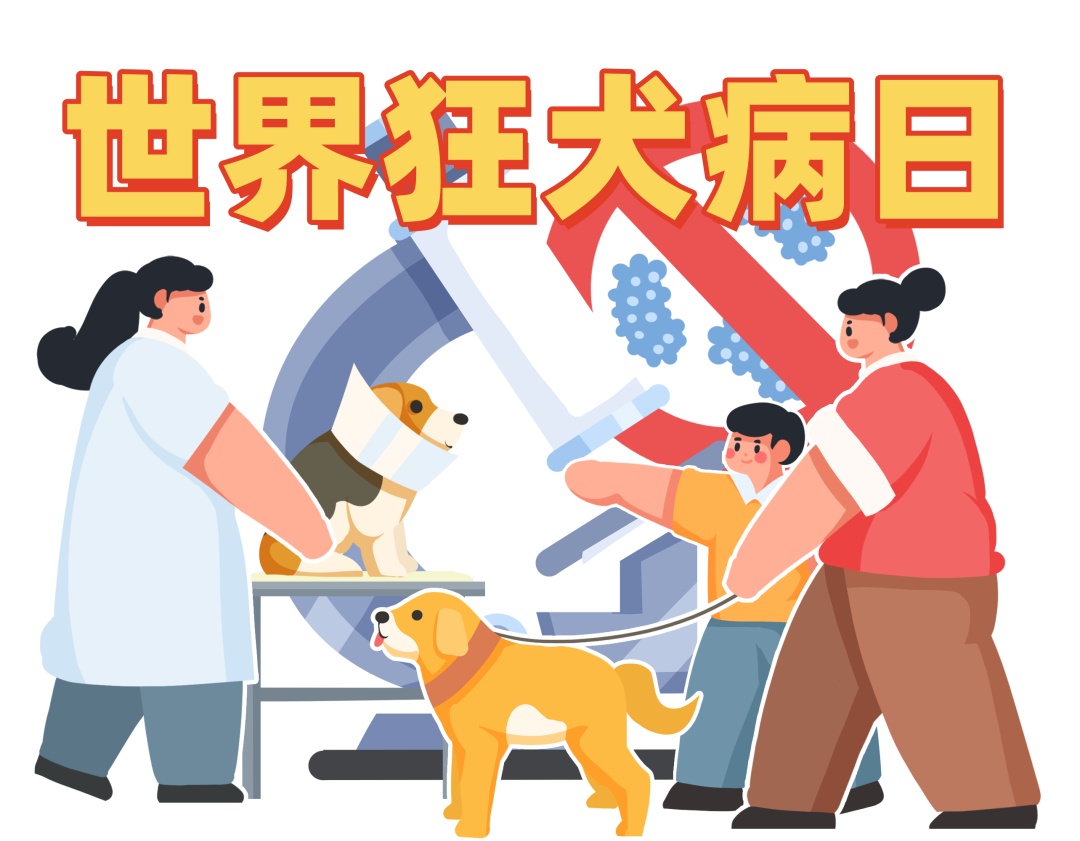 什么?狂犬病的头号元凶不是狗?最要警惕的动物竟然是它→ 什么?狂犬病的头号元凶不是狗?最要警惕的动物竟然是它→