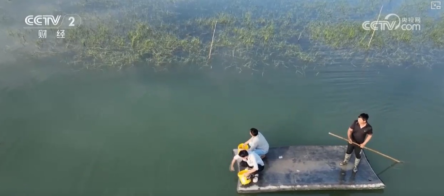 科技赋能点沙成“金” 盐碱地变蟹池撑起养殖户“钱袋子”