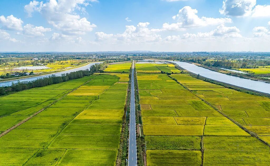 10月起，一批新规正式施行！