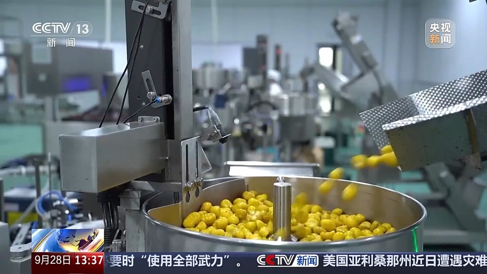 古法晒虾、板栗烧鸡 各地宝藏秋日鲜味已上桌