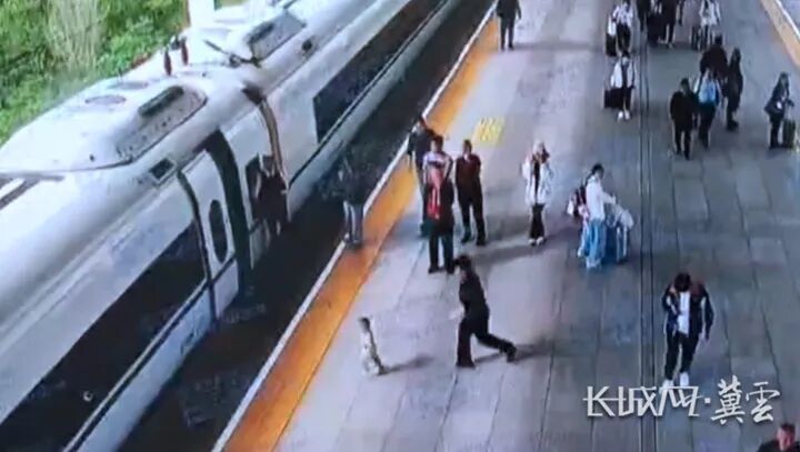 危急2分钟！幼童坠入高铁站台缝隙……