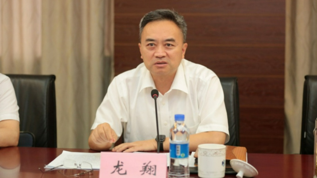 中共中央批准，龙翔被“双开”