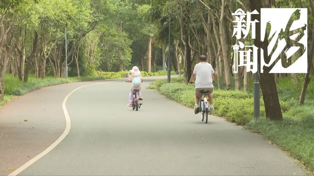 惊险一幕曝光！沪一骑车人"高速"遭遇"回头杀"，瞬间飞了出去…