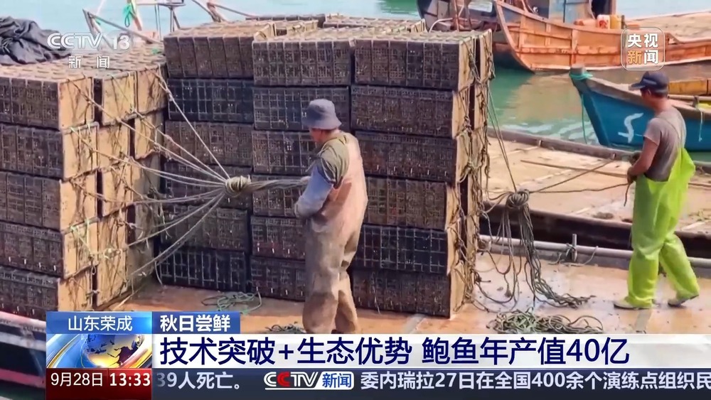 古法晒虾、板栗烧鸡 各地宝藏秋日鲜味已上桌