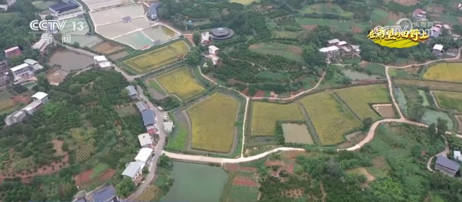 希望的田野满满“科技范” 智慧农业绘就千里沃野好“丰”景