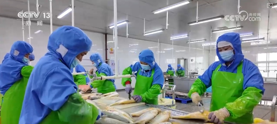 团圆餐桌添足“鲜味” 节前走市场看假日“菜篮子”“果盘子”新趋势