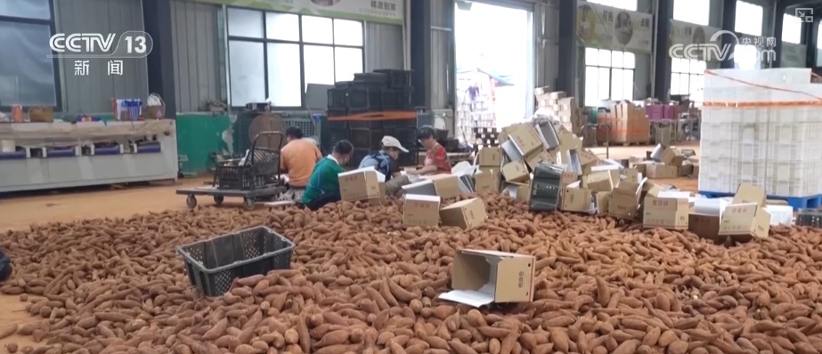 借助物流数据看经济·新业态活力强劲 特色农产品消费需求持续释放