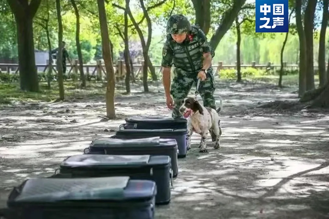 “好好吃饭，好好睡觉，不要把别人家拆了”