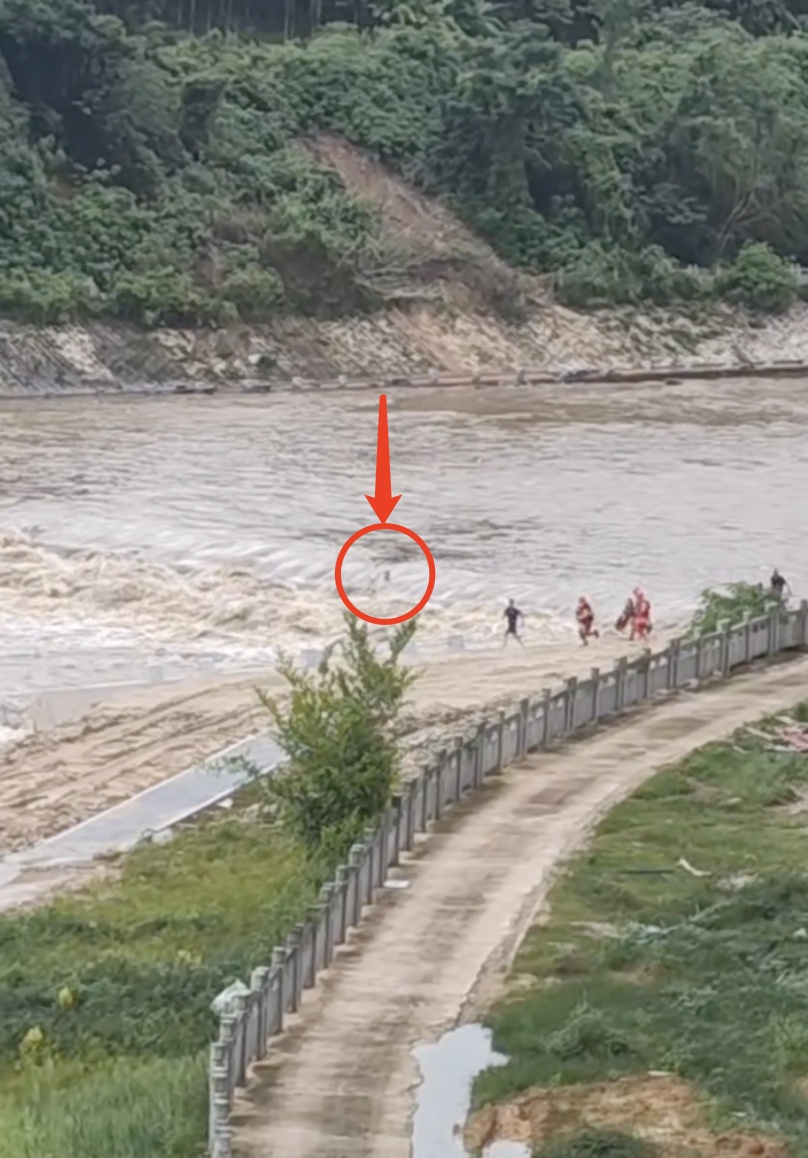 惊险救援瞬间：海南一女童被激流冲走，命悬一线紧抓河中树枝，消防公安合力成功营救