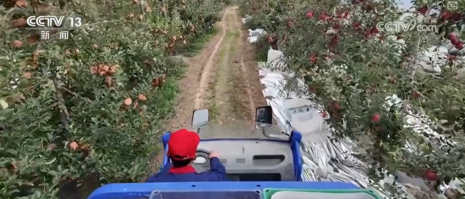 借助物流数据看经济·新业态活力强劲 特色农产品消费需求持续释放