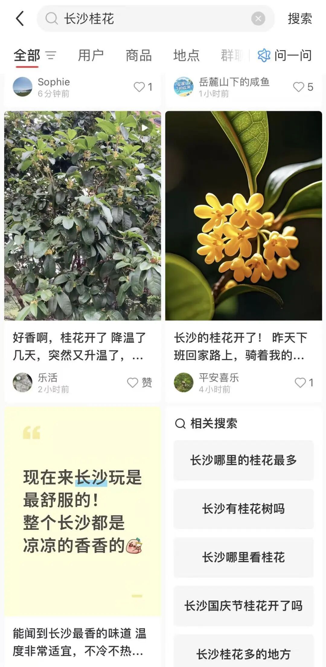 长沙满城都是！医生提醒：不要吃