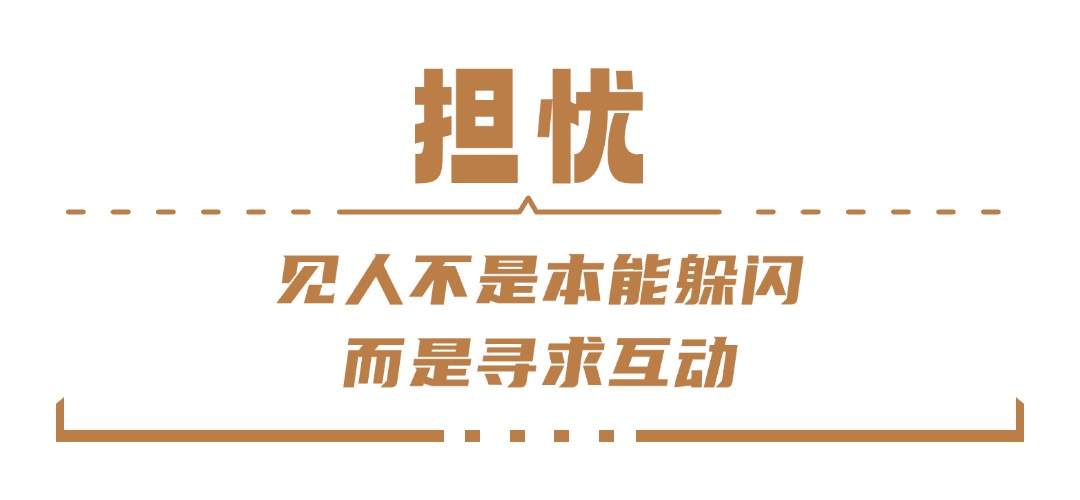 走红海南的海豹“阿侬”，被救治后怎么样了？