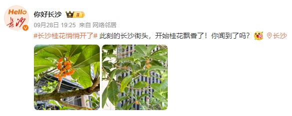 长沙满城都是！医生提醒：不要吃