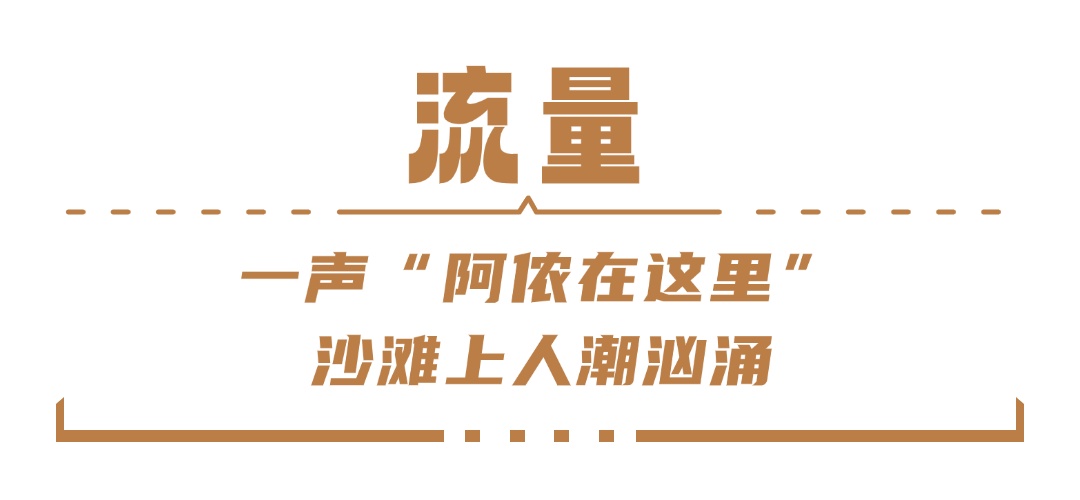 走红海南的海豹“阿侬”，被救治后怎么样了？