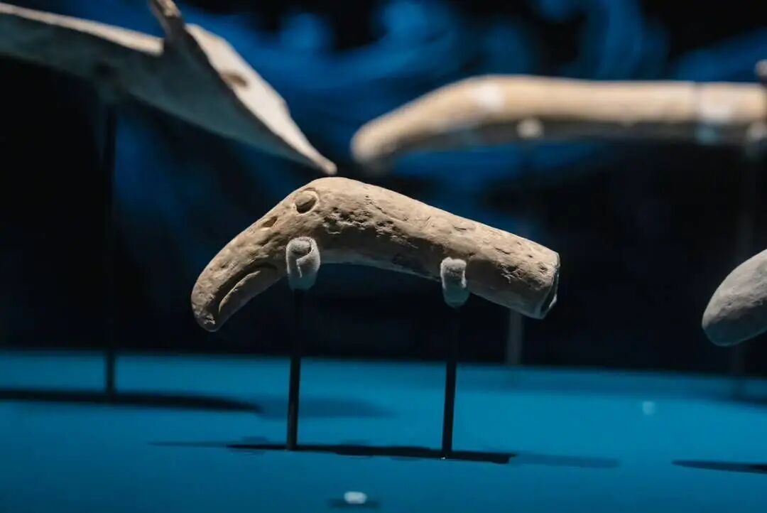 虎头龙身、人首鸟身……三星堆为何有这么多“神奇动物”? 虎头龙身、人首鸟身……三星堆为何有这么多“神奇动物”?