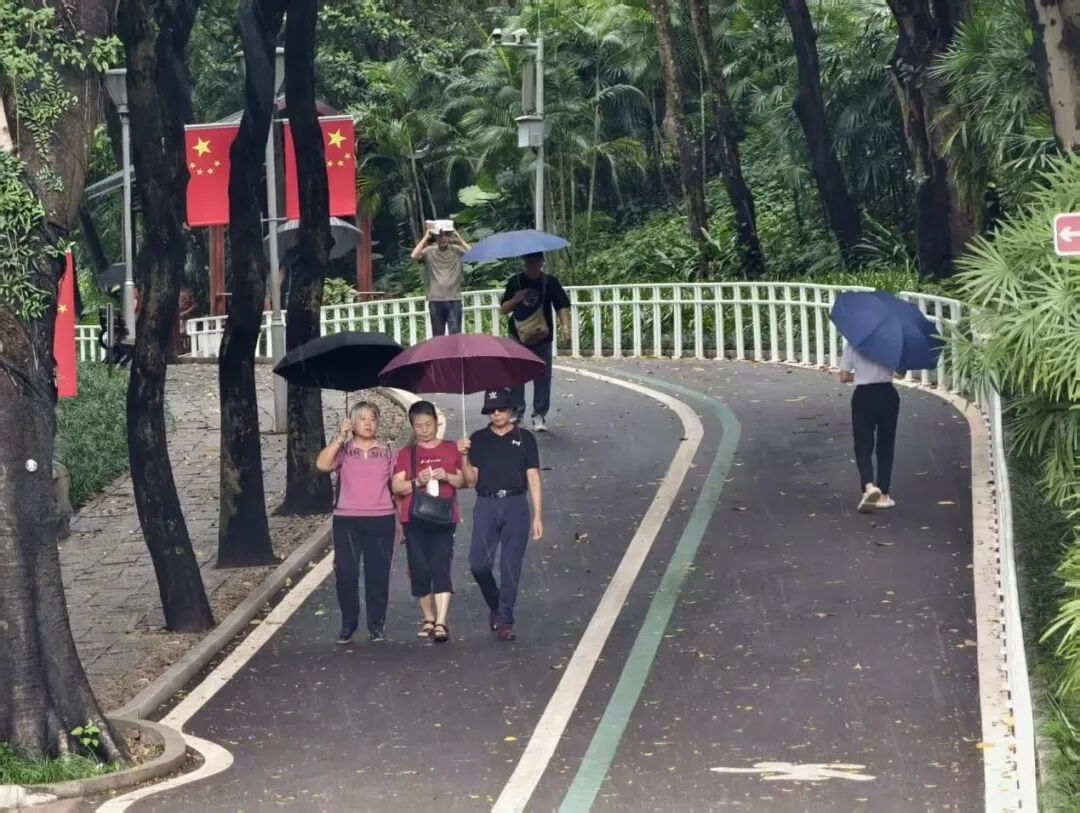 冷空气+新台风，赶来广西“度假”