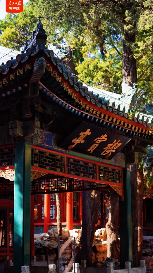 久等了！故宫“神秘花园”重新开放，美景抢先看