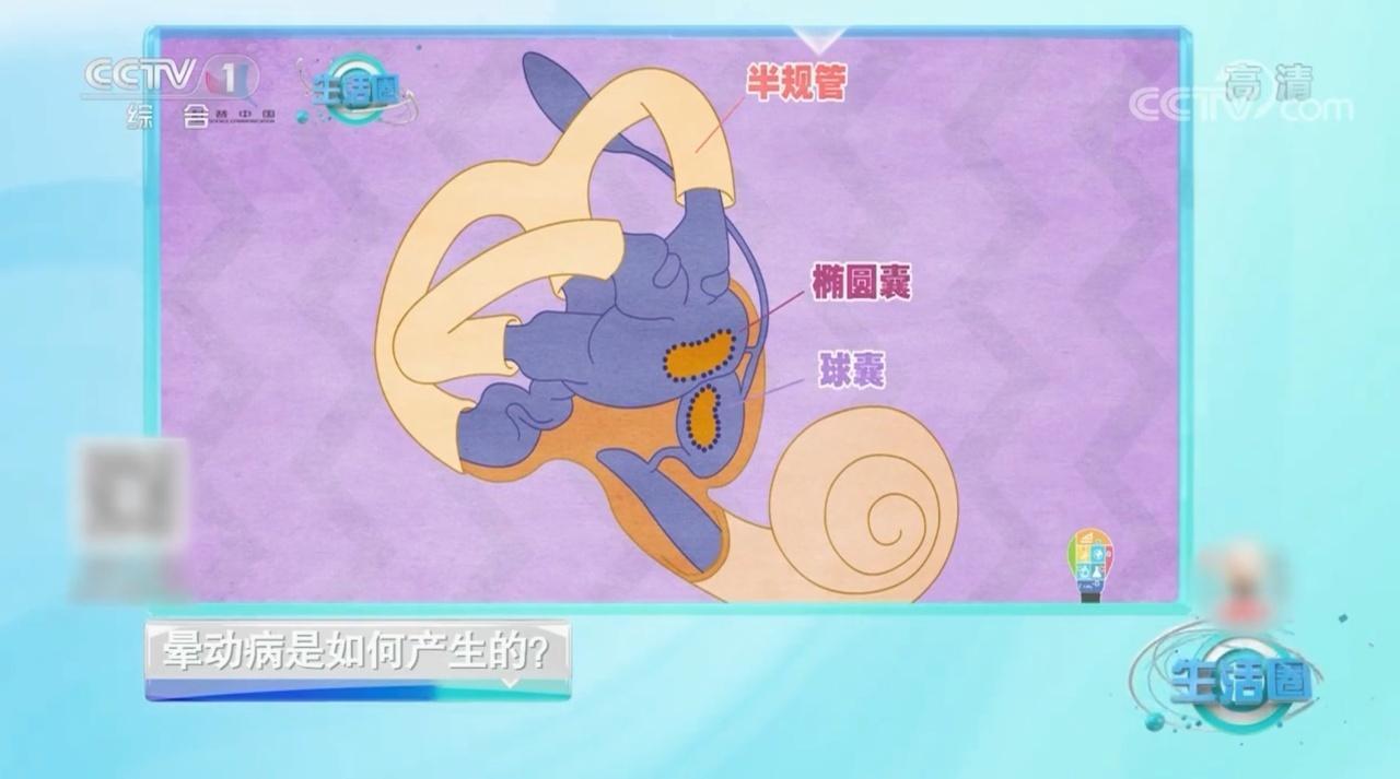 上车一看手机就晕?专家支招→ 上车一看手机就晕?专家支招→