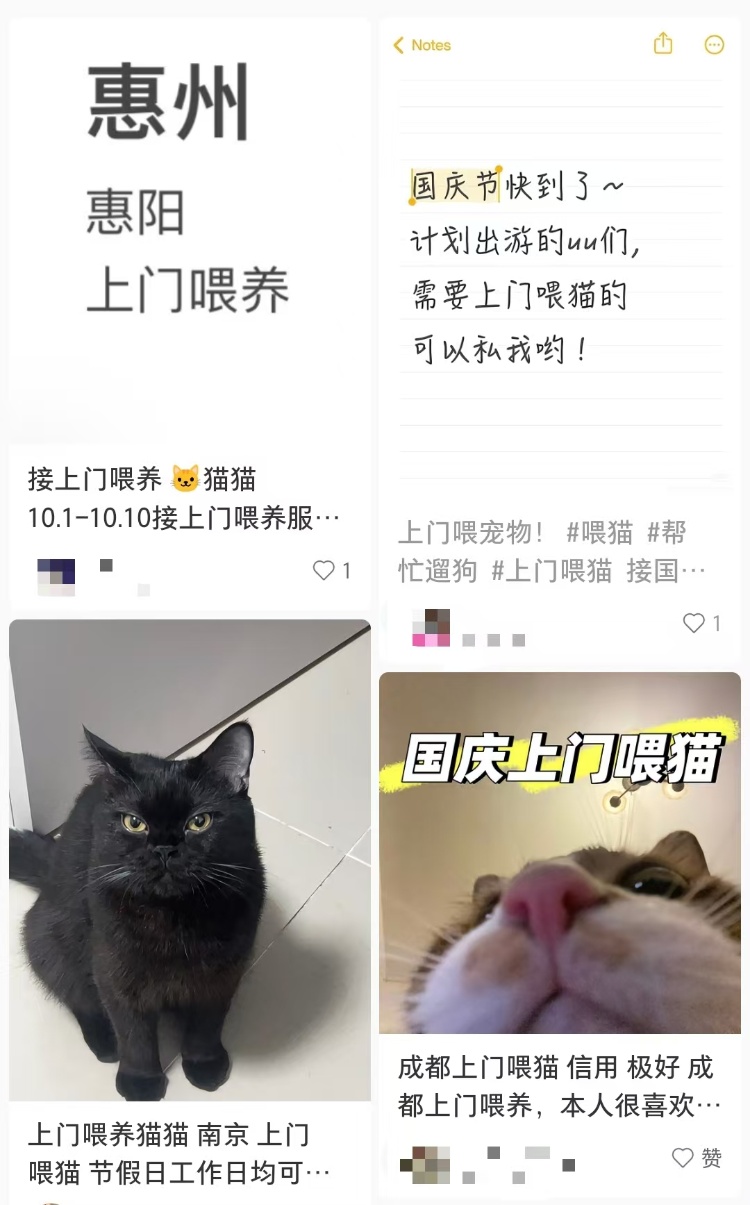 国庆期间宠物托养代喂生意火爆：有人称接了大约270单，最大客户家养9狗11猫