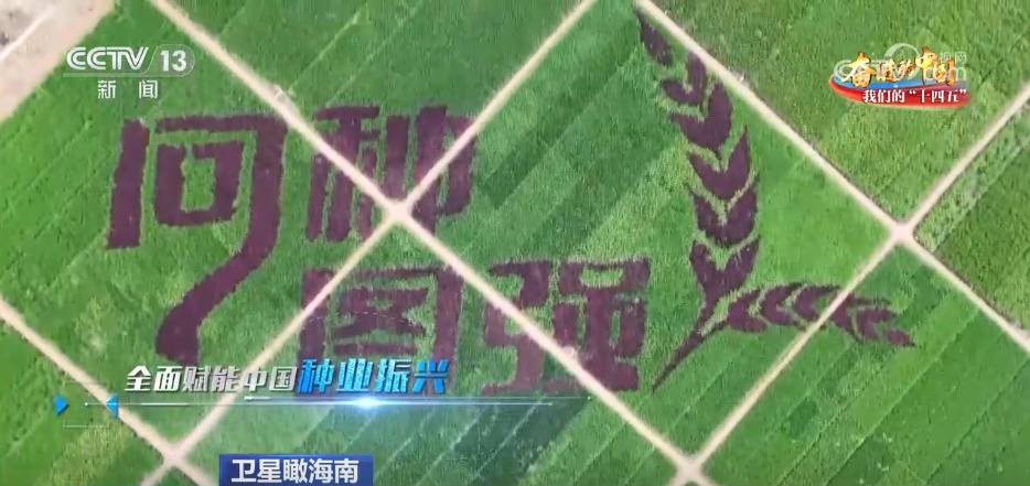 卫星视角“瞰”海南 开放新高地加速“蝶变”