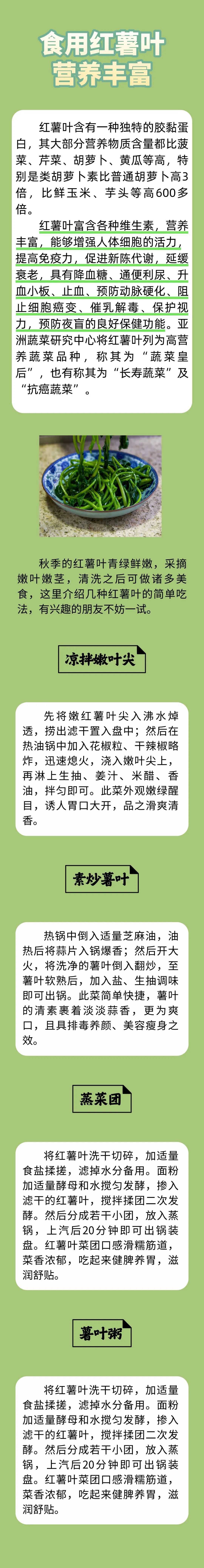叶黄素远超菠菜、钙比牛奶高的绿叶菜之神，很多人竟当垃圾丢掉了