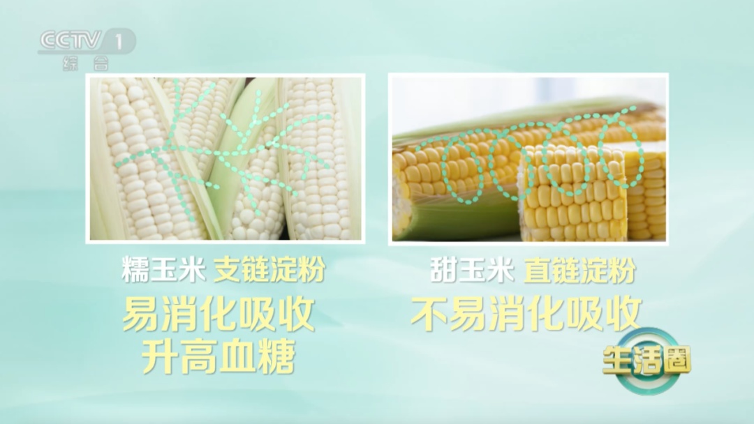 玉米营养还防癌～但这种玉米易长胖还升糖，很多人天天吃！