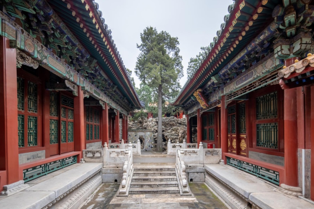 久等了！故宫“神秘花园”重新开放，美景抢先看