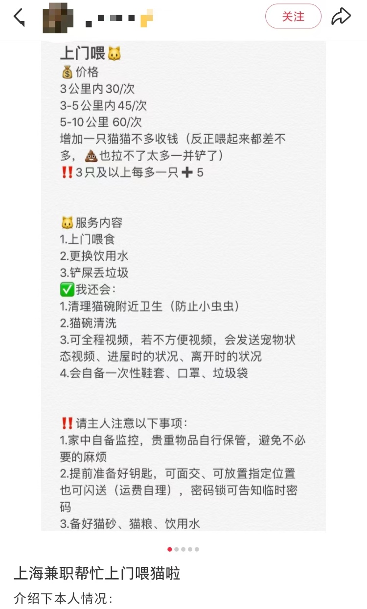 国庆期间宠物托养代喂生意火爆：有人称接了大约270单，最大客户家养9狗11猫