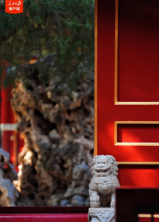 久等了！故宫“神秘花园”重新开放，美景抢先看