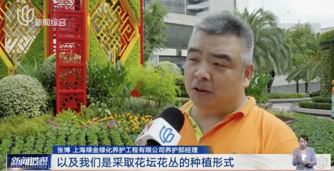 上海人快抬头！高架上这幕被刷爆！有人吐槽太浪费？这笔开销算明白了