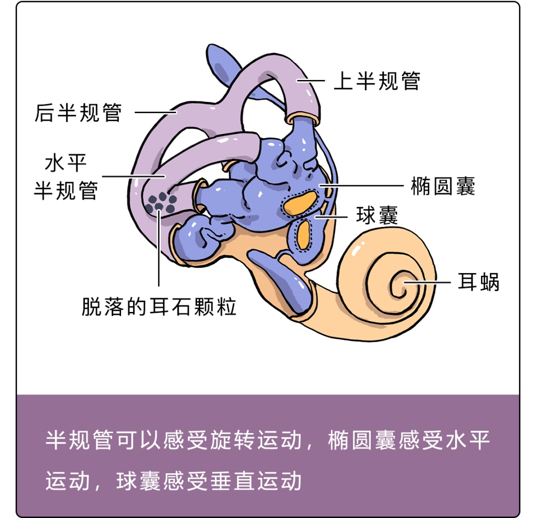 坐车一看手机就晕?赶紧试试这些办法 坐车一看手机就晕?赶紧试试这些办法