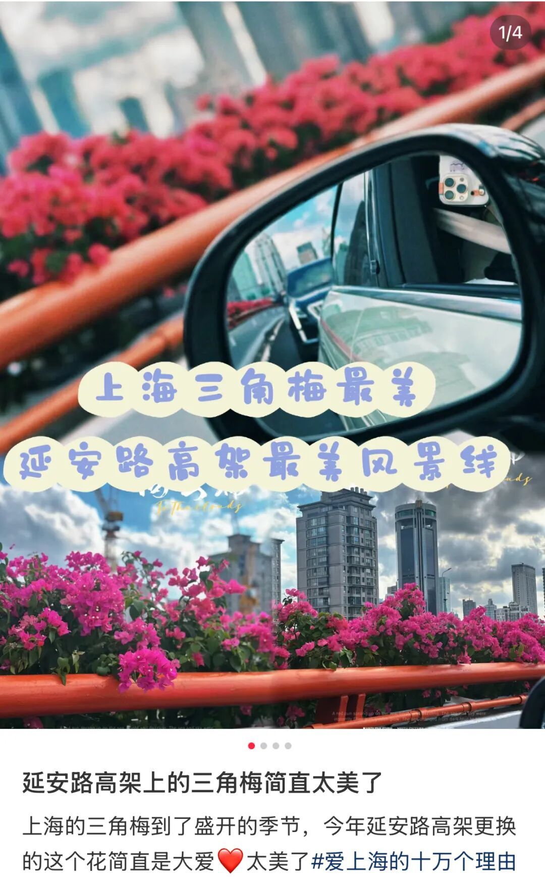 上海人快抬头！高架上这幕被刷爆！有人吐槽太浪费？这笔开销算明白了