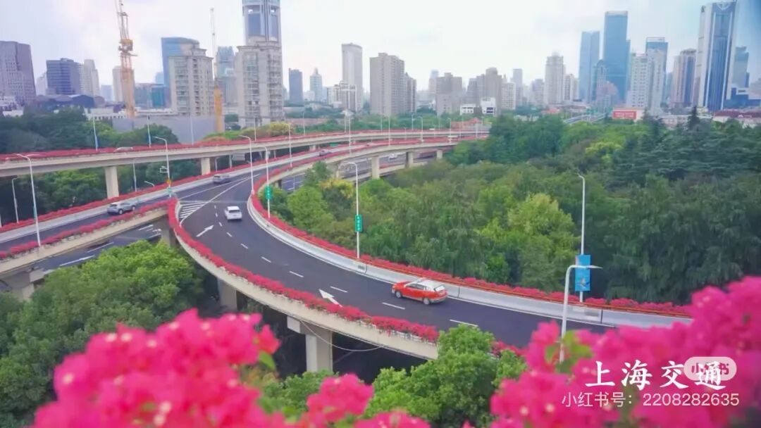上海人快抬头！高架上这幕被刷爆！有人吐槽太浪费？这笔开销算明白了