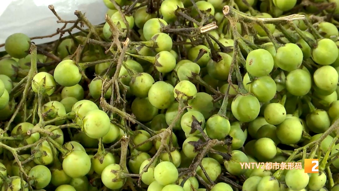 吃花！吃叶！吃草！云南人的餐桌香了香……游客：这儿的蔬菜比表情包还鲜亮……