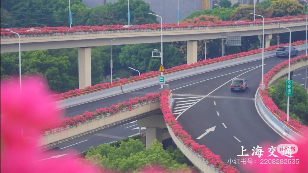 上海人快抬头！高架上这幕被刷爆！有人吐槽太浪费？这笔开销算明白了