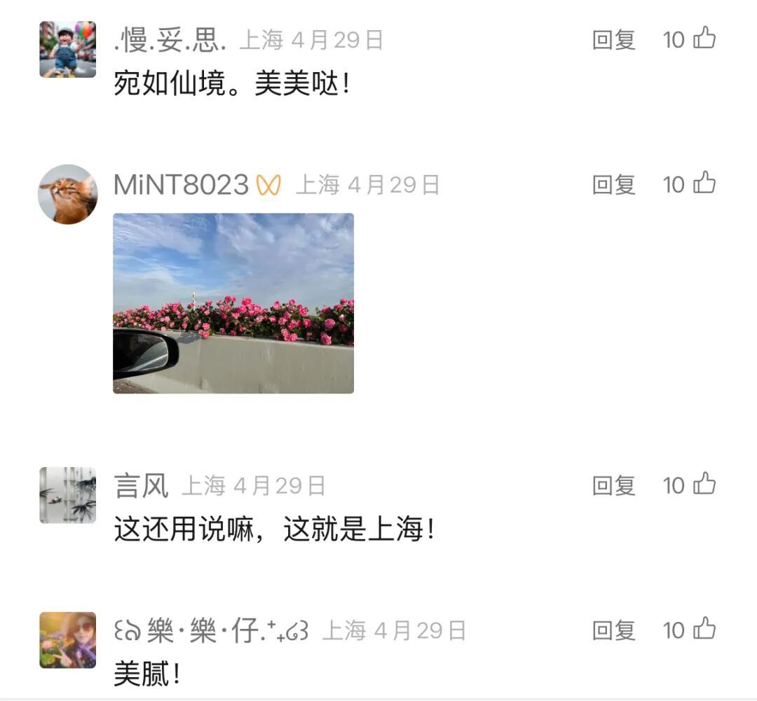 上海人快抬头！高架上这幕被刷爆！有人吐槽太浪费？这笔开销算明白了