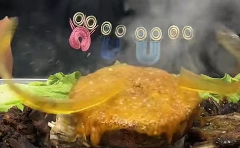 注意！几乎家家厨房都有，可能成为 “炸弹”