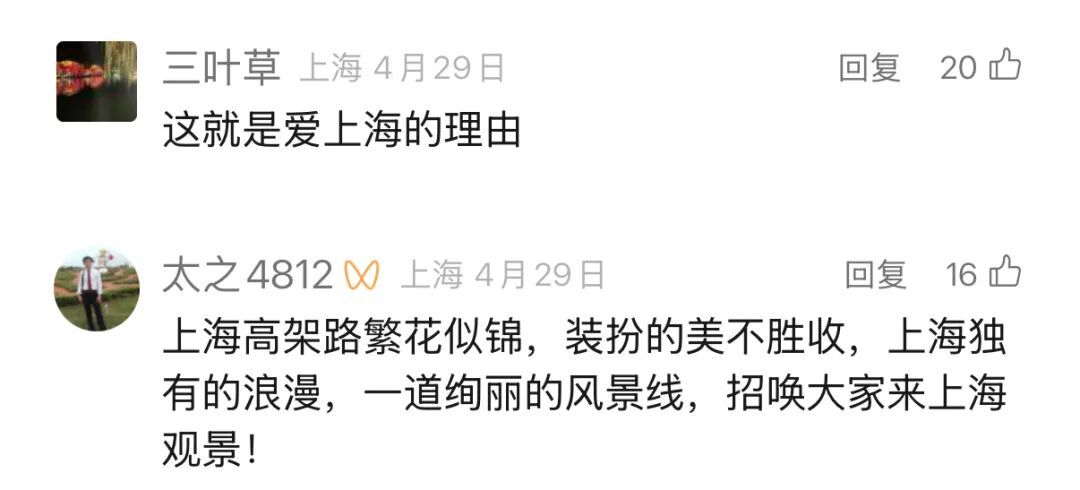 上海人快抬头！高架上这幕被刷爆！有人吐槽太浪费？这笔开销算明白了