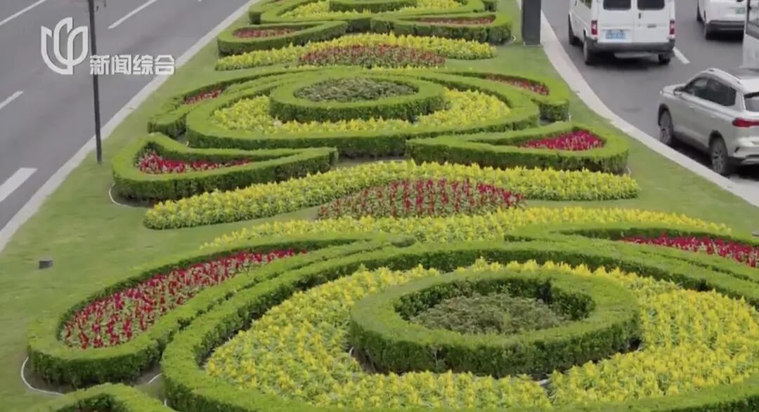 上海人快抬头！高架上这幕被刷爆！有人吐槽太浪费？这笔开销算明白了