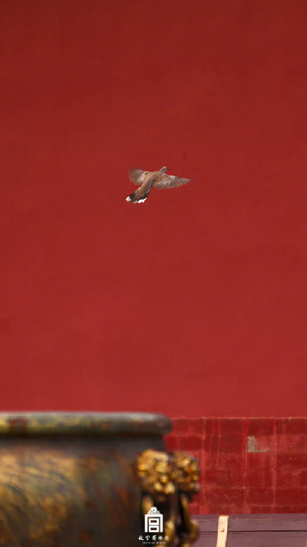 收藏！国庆版故宫壁纸来了