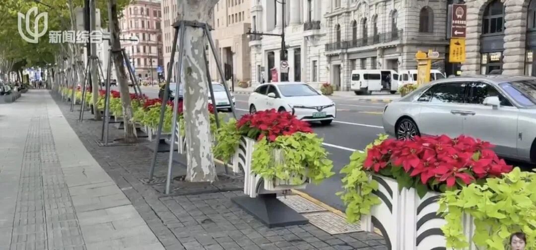 上海人快抬头！高架上这幕被刷爆！有人吐槽太浪费？这笔开销算明白了