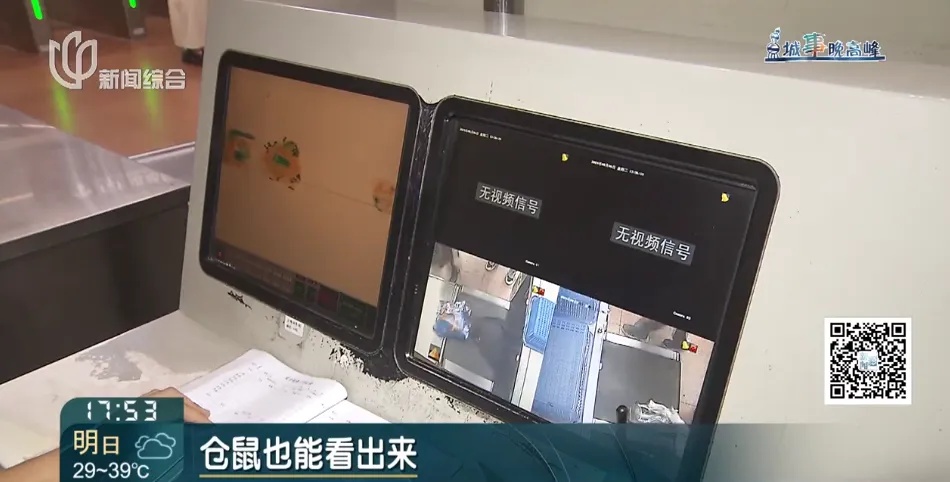 乘客尖叫!10多条黄鳝突然在地铁车厢内游窜…… 乘客尖叫!10多条黄鳝突然在地铁车厢内游窜……