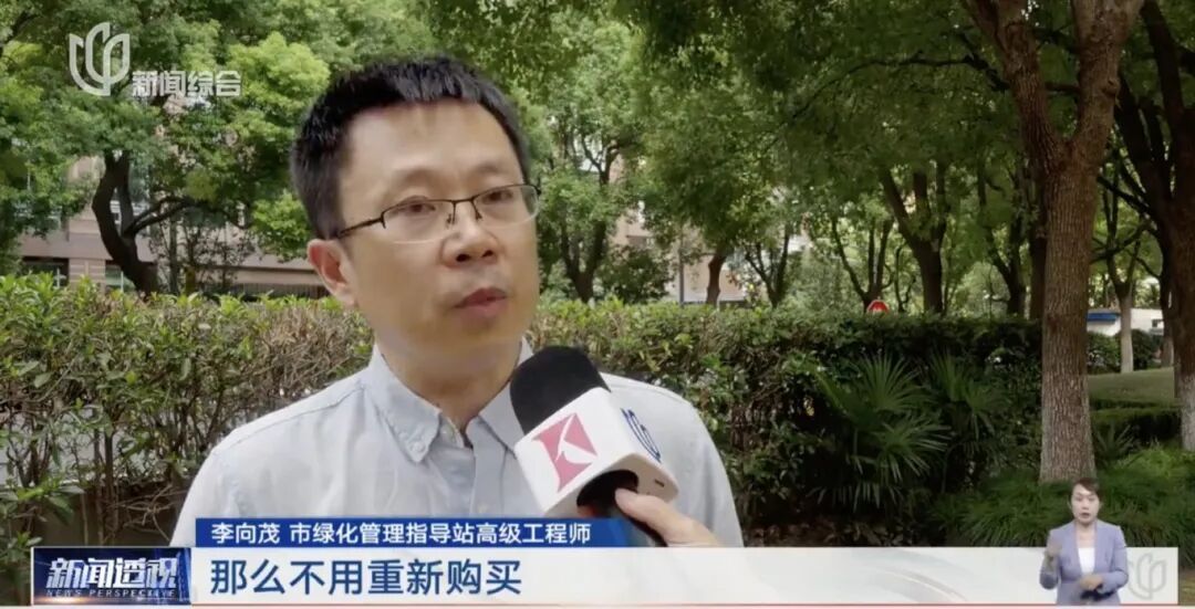 上海人快抬头！高架上这幕被刷爆！有人吐槽太浪费？这笔开销算明白了