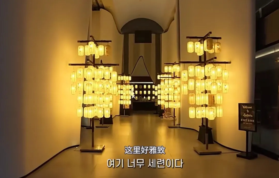 韩国明星狂赞上海：来了，舍不得离开！一顿饭下来赞不绝口，“要带家人一起体验”