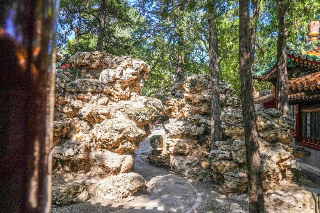 故宫里的“神秘花园”开放！